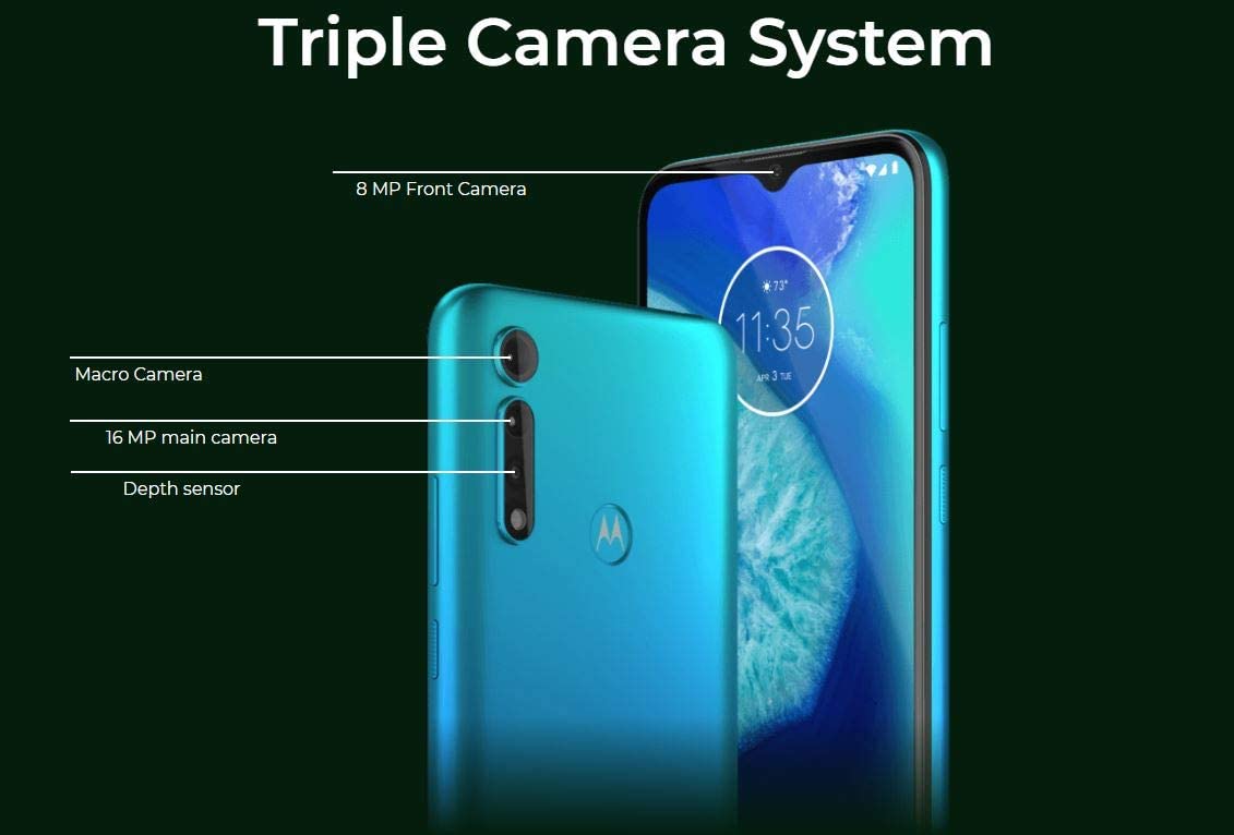 51C0MKH1YfL._AC_SL1131_ (1)